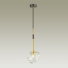 Odeon Light 4789/1