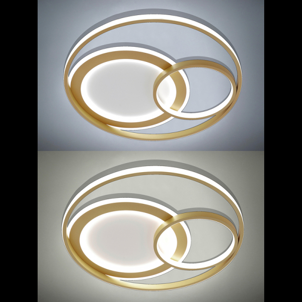 Потолочная люстра Natali Kovaltseva LED LAMPS 81312