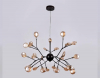 Ambrella Light TR3013