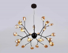 Ambrella Light TR3013