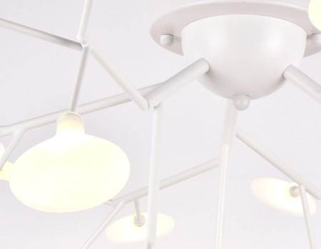 Ambrella Light TR3011