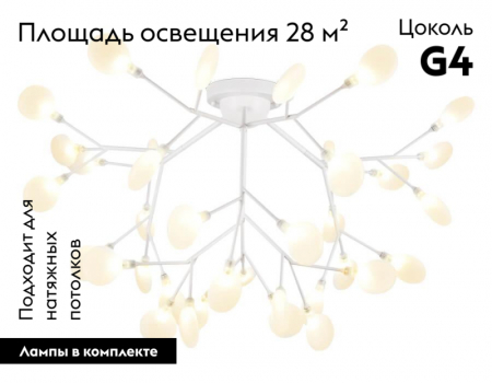 Ambrella Light TR3018