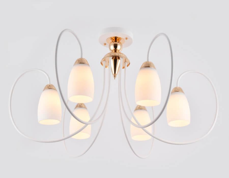 Ambrella Light TR3120