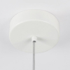Ambrella Light TR5042