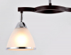 Ambrella Light TR3111