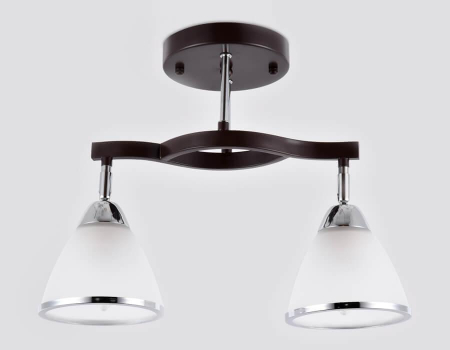 Ambrella Light TR3111