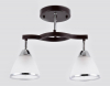 Ambrella Light TR3111
