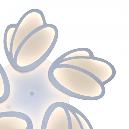 Natali Kovaltseva INNOVATION STYLE 83000