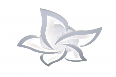 Natali Kovaltseva INNOVATION STYLE 83002