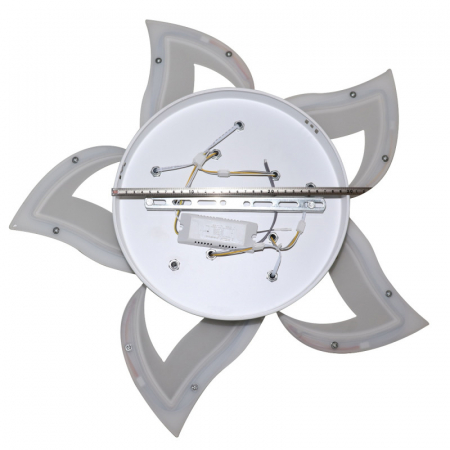 Natali Kovaltseva INNOVATION STYLE 83002