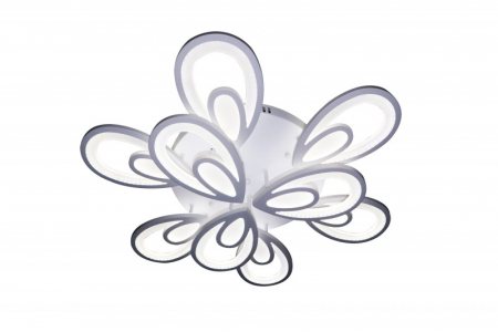 Natali Kovaltseva INNOVATION STYLE 83003