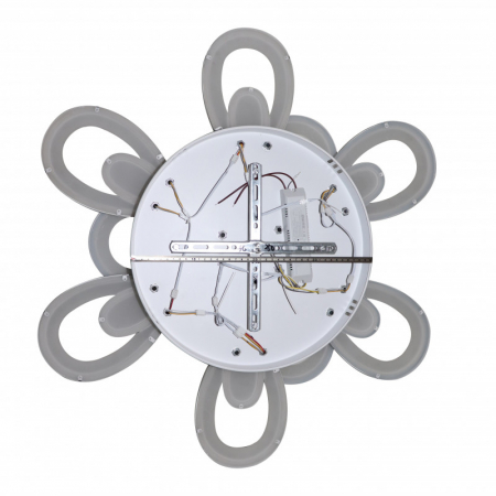 Natali Kovaltseva INNOVATION STYLE 83003