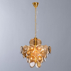 Divinare 7566/01 SP-8