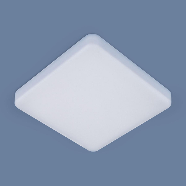 Потолочный светильник Elektrostandard DLS043 10W 4200K a047941