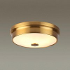 Odeon Light 4824/3C