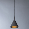 Arte Lamp A4324SP-1GY
