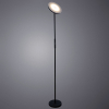 Arte Lamp A1822PN-1BK