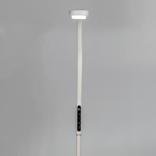 Торшер Citilux CL804020