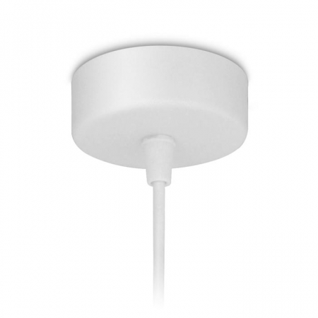 Ambrella Light TN289