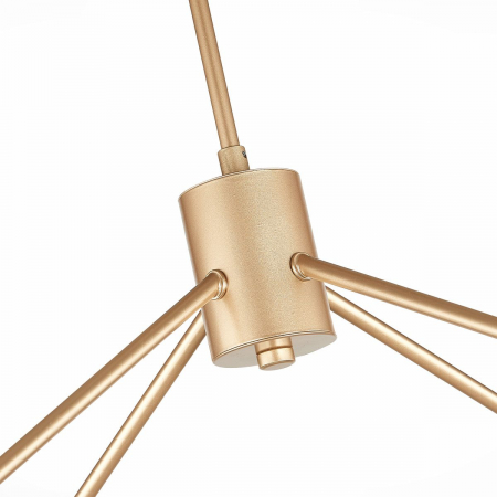 Evoluce SLE155902-08