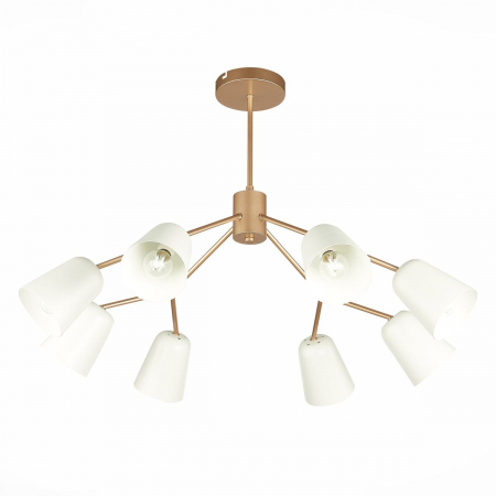 Evoluce SLE155902-08