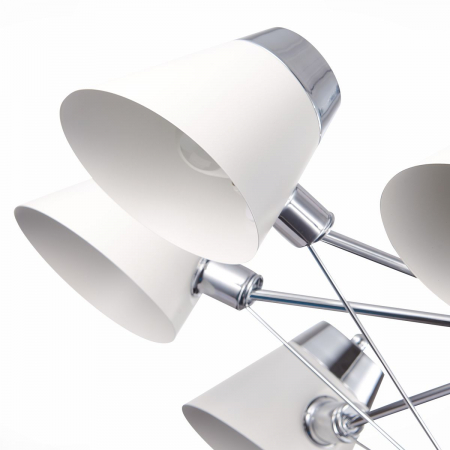 Evoluce SLE155802-08