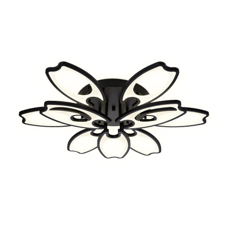 Ambrella Light FA581