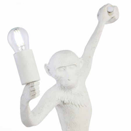 Evoluce SLE115111-01