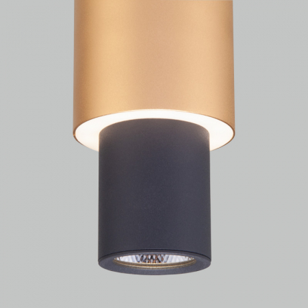 Eurosvet 50204/1 LED черный/матовое золото