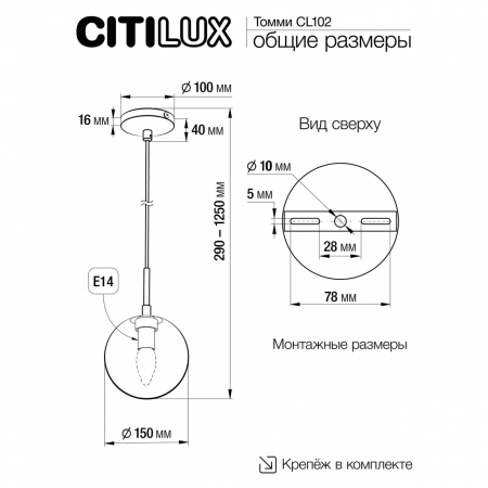 Citilux CL102013
