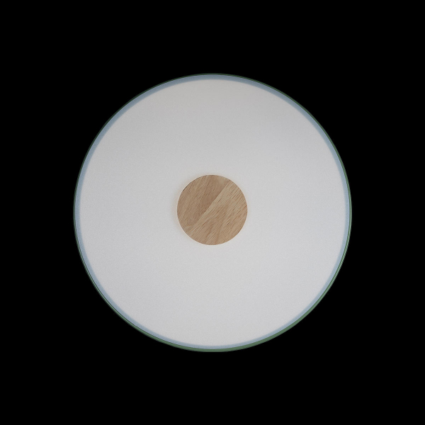 Потолочный светильник Loft IT AXEL 10003/24 Green