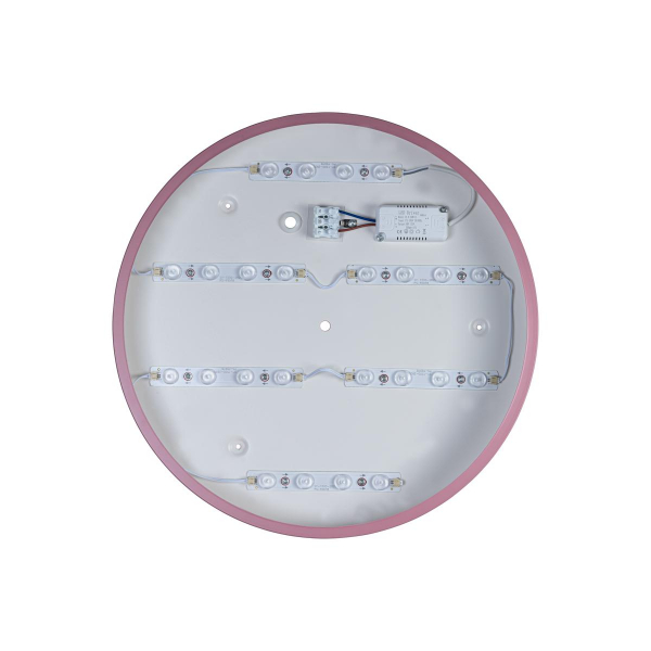 Потолочный светильник Loft IT AXEL 10003/24 Pink