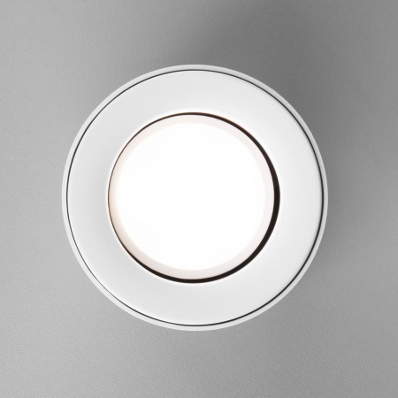 Elektrostandard 4690389153303