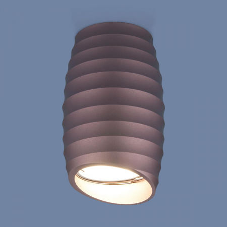 Elektrostandard 4690389148583