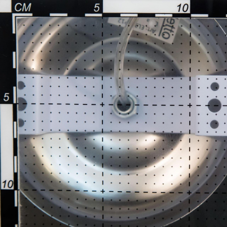 Citilux EL338P08