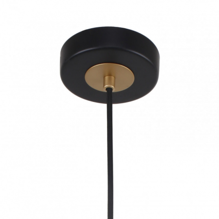 F-Promo 2844-1P