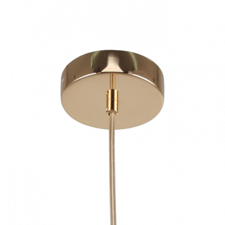 F-Promo 2759-1P