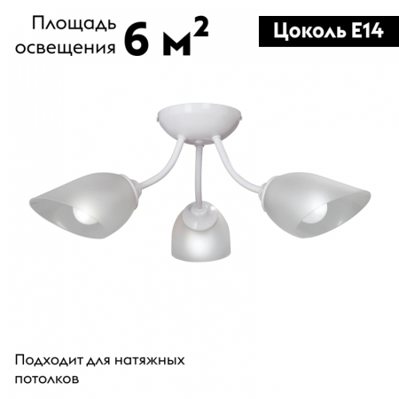 Vitaluce V3405-0/3PL