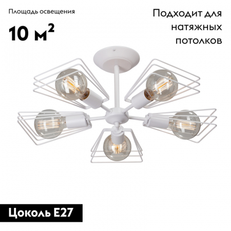 Vitaluce V4378-0/5PL