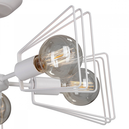 Vitaluce V4378-0/5PL