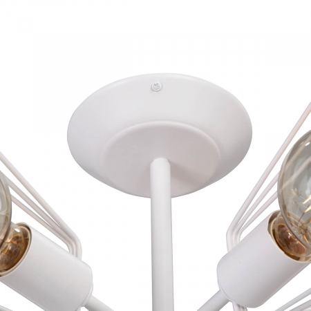 Vitaluce V4378-0/5PL