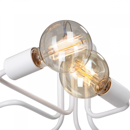 Vitaluce V4196-0/6PL