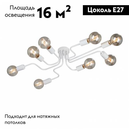 Vitaluce V4196-0/8PL