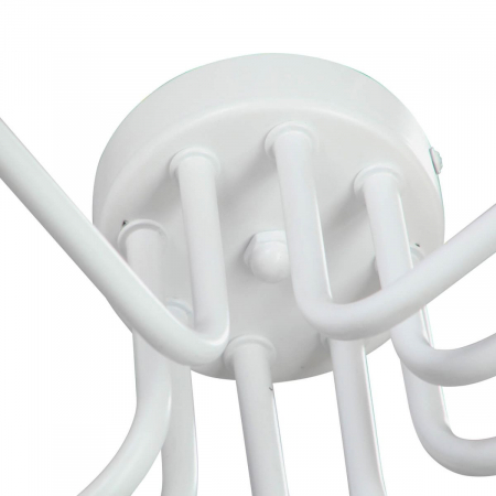 Vitaluce V4196-0/8PL