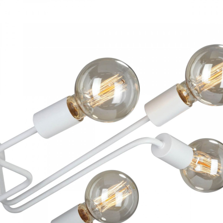 Vitaluce V4196-0/8PL