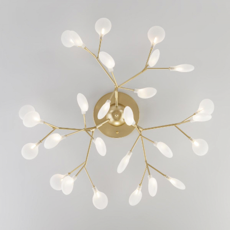 Bogates 343 Smart (542)