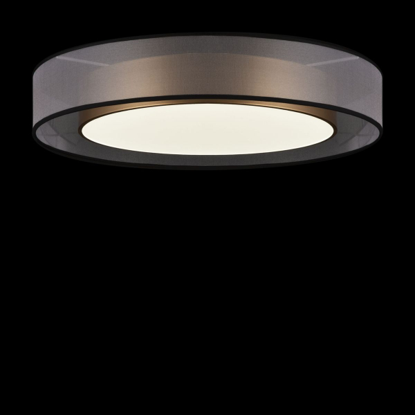 Потолочный светильник Freya Zoticus FR6005CL-L48G