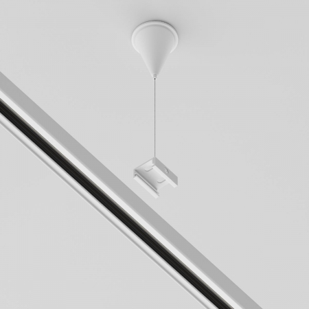 Maytoni TRA005WS-31W