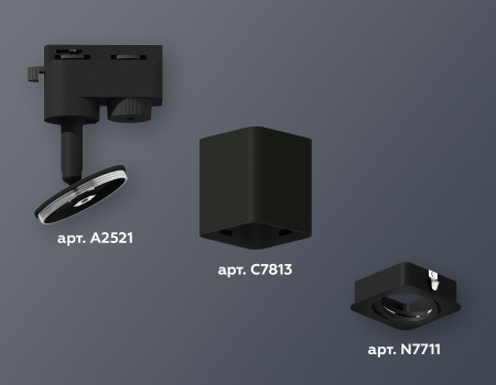 Ambrella Light XT7813010