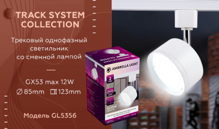 Ambrella Light GL5356